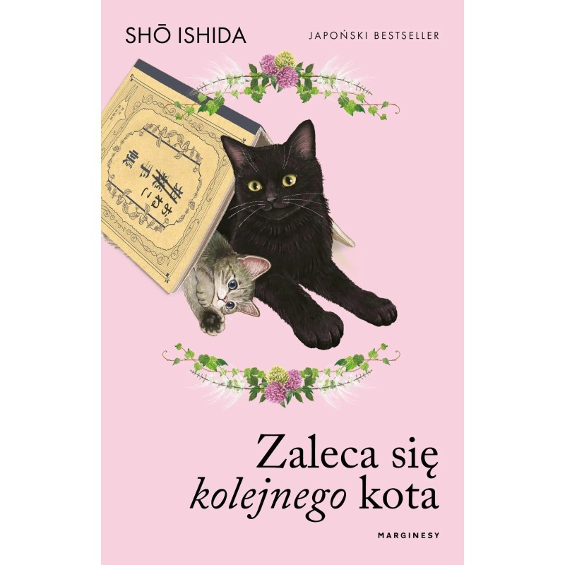 Zaleca się kolejnego kota - Shō Ishida
