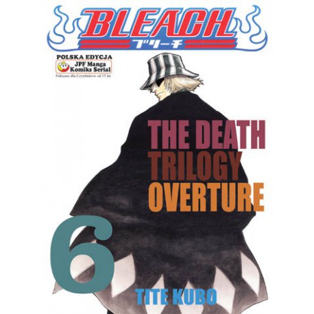 Bleach t.6